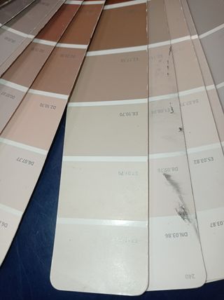 se ofrece pintor económico