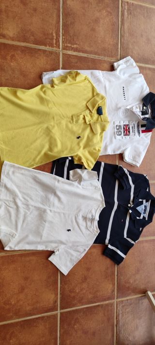 Conjunto camisetas y polos
