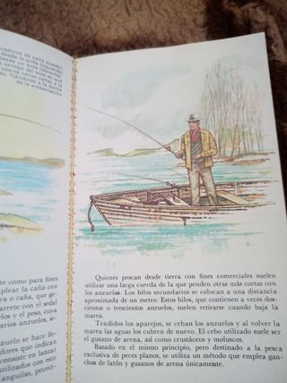 Libros escolares antiguos Libro color estudio