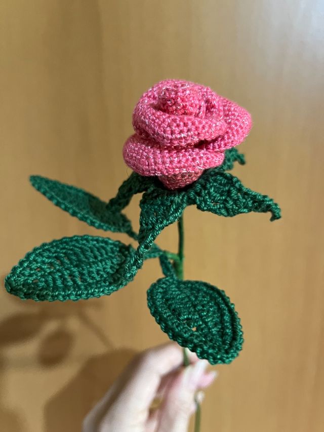 Rosa rosa