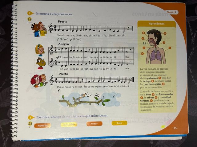 MÚSICA ACORDES 5 PRIMARIA