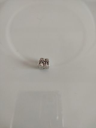 Charm compatible con Pandora 