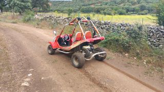 ¡REBAJADO! BUGGY EN MATILLA DE LOS CAÑOS DEL RÍO
