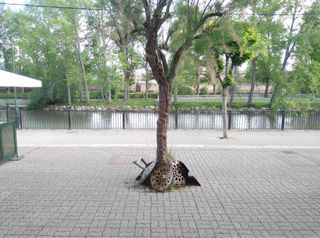 Local/Oficina en alquiler