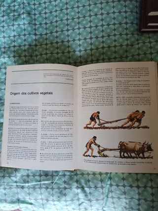 4 Livros de cultura geral