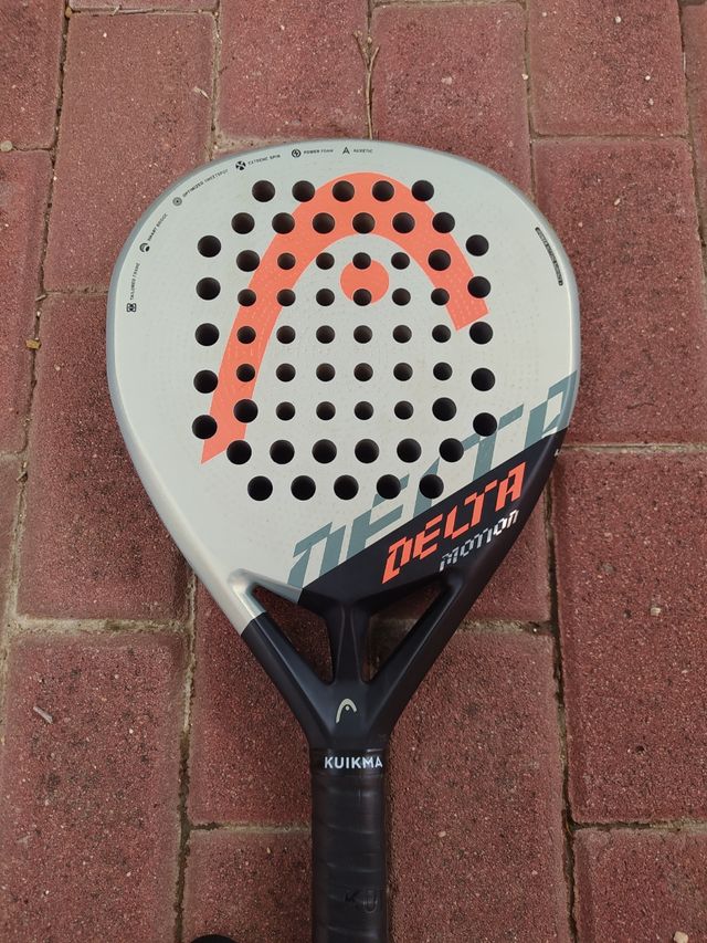 pala head Delta Motion