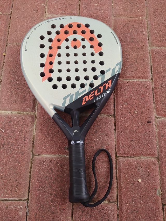 pala head Delta Motion