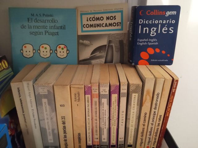 LIBROS LECTURA ESCOLAR 