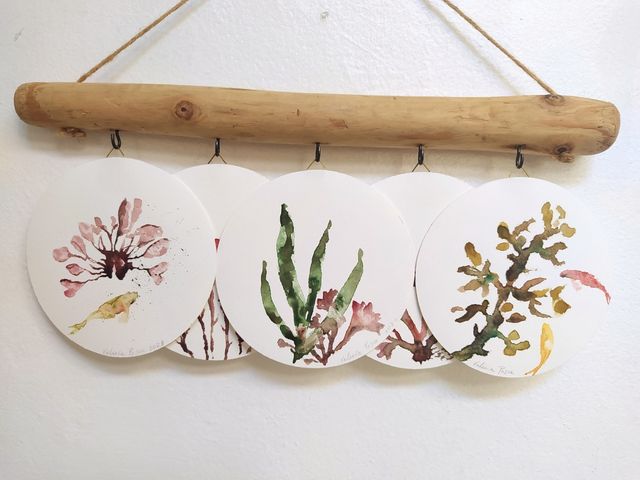 Acuarela  original redonda