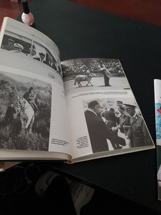 Los últimos 476 días de Franco Libro de Vicente P