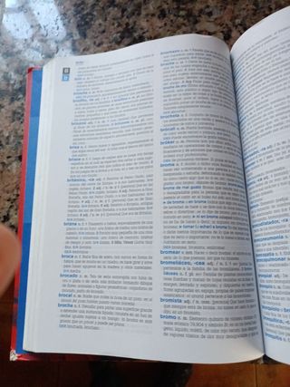 Diccionario secundaria