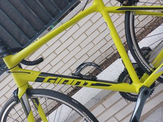BICI DA CORSA GIANT CONTEND SL MISURA 2 M