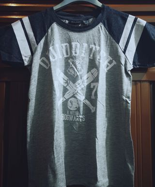camiseta Quidditch Harry Potter