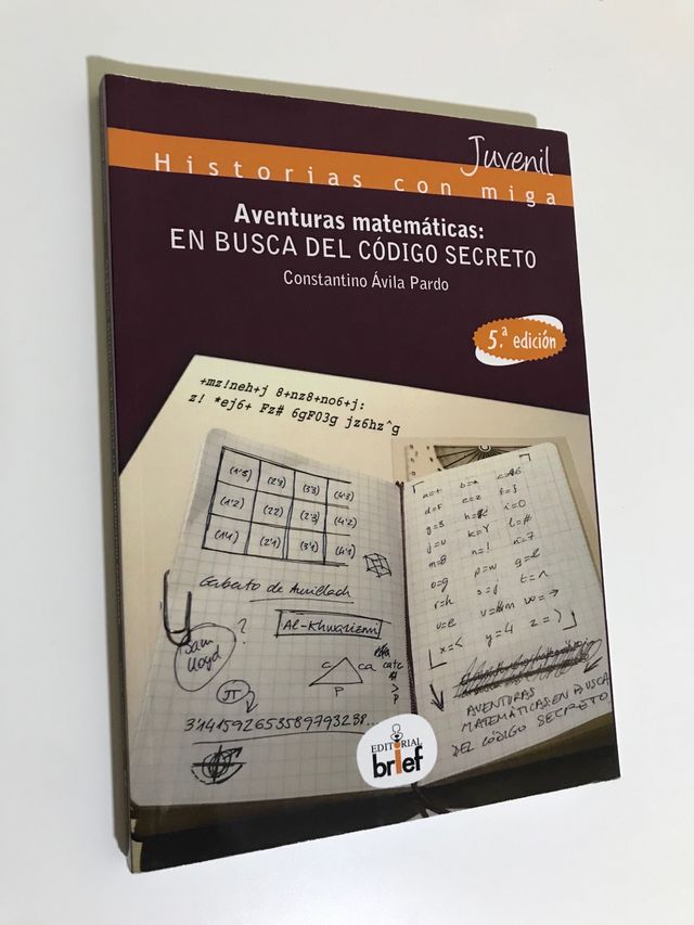 Libro En busca del código secreto