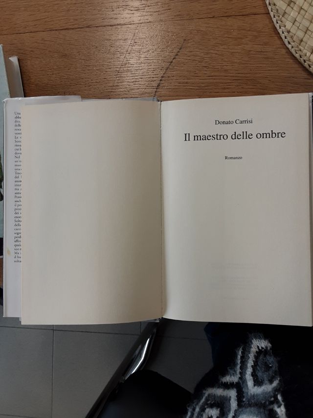 il maestro delle ombre