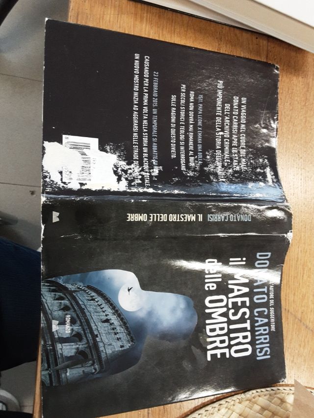 il maestro delle ombre