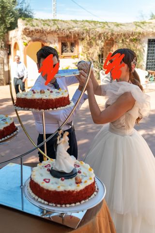 vestido novia Pronovias