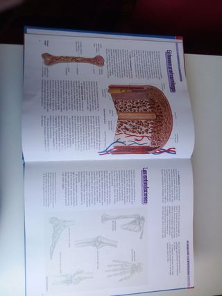 El cuerpo humano: Órganos • Sistemas • Funciones