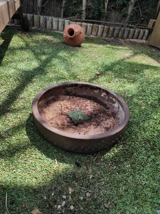 Maceta Bonsai