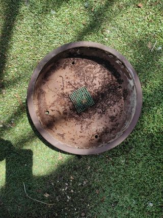 Maceta Bonsai