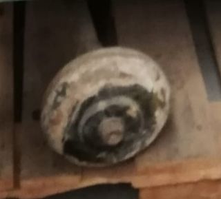 Prensa manual grande sin pie