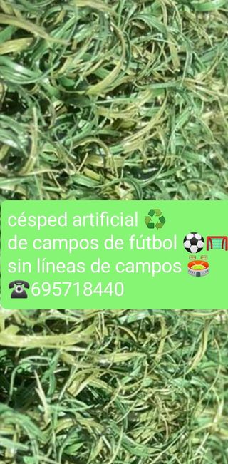 CÉSPED ARTIFICIAL ♻️ SIN LINEAS DE CAMPOS