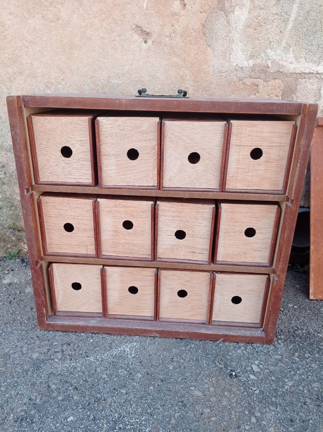 transportín gigante pajaros