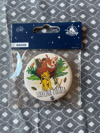 Chapa Disneyland Paris