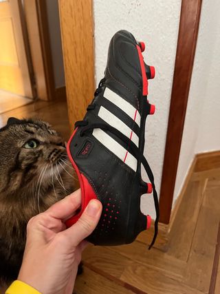 Botas Adidas fútbol 11
