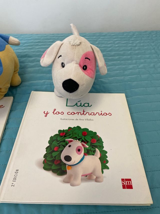Libros con sus osos.