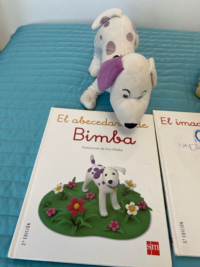 Libros con sus osos.