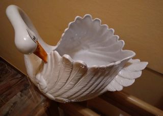 cigno svuotasche