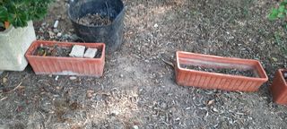 jardineras una 8 unidades todas 40 euros