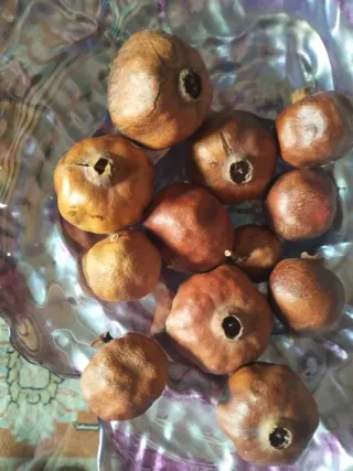 CENTRO FLORAL d Rosas, granadas,mazorcas