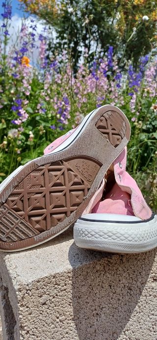 Converse Rosas