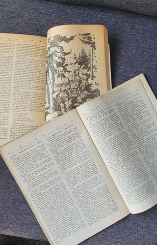 2 Novelas Del Oeste Colección Molino