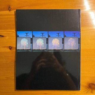 🌟Jennifer Steinkamp 2006 - Soledad Lorenzo