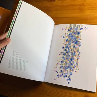 🌟Jennifer Steinkamp 2006 - Soledad Lorenzo