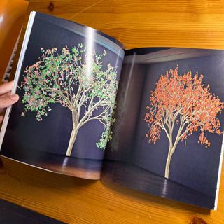 🌟Jennifer Steinkamp 2006 - Soledad Lorenzo