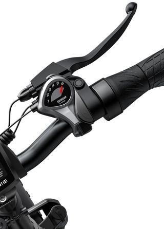 Bicicleta eléctrica FAT ENGWE EP-2 BOOST 250W 13Ah