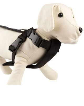 Arnés de perro para coche