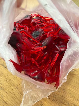 Conjunto 51 Amostras isco caranguejo pesca - Novo