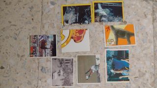 resto de colecciones de cromos antiguos