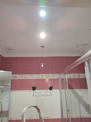 pintor profesional 