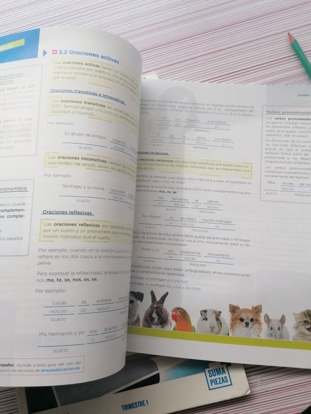 Libro lengua y literatura 2 ESO