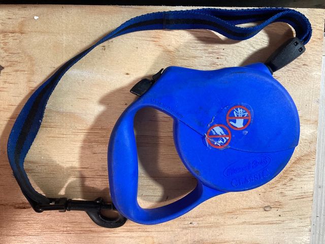 Guinzaglio per cani 5m