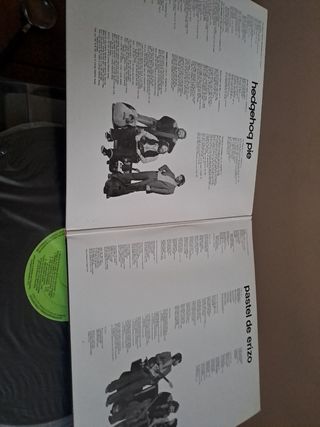 disco de vinilo hedgehog pie