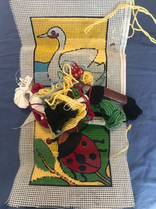 2 quadretti da ricamo da finire 