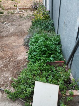 Terreno urbanizado dado para dos calles