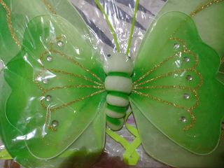 Mariposa verde